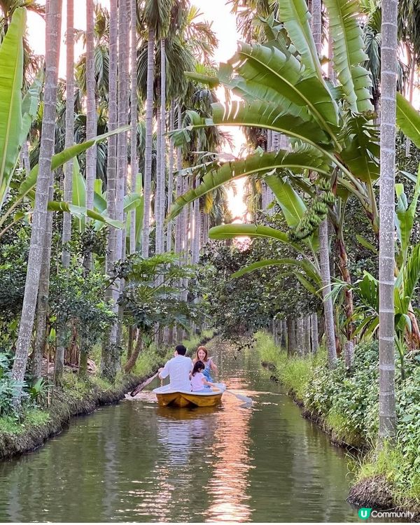  泰國 ｜ 隱藏版森林咖啡廳☕️