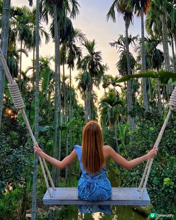  泰國 ｜ 隱藏版森林咖啡廳☕️