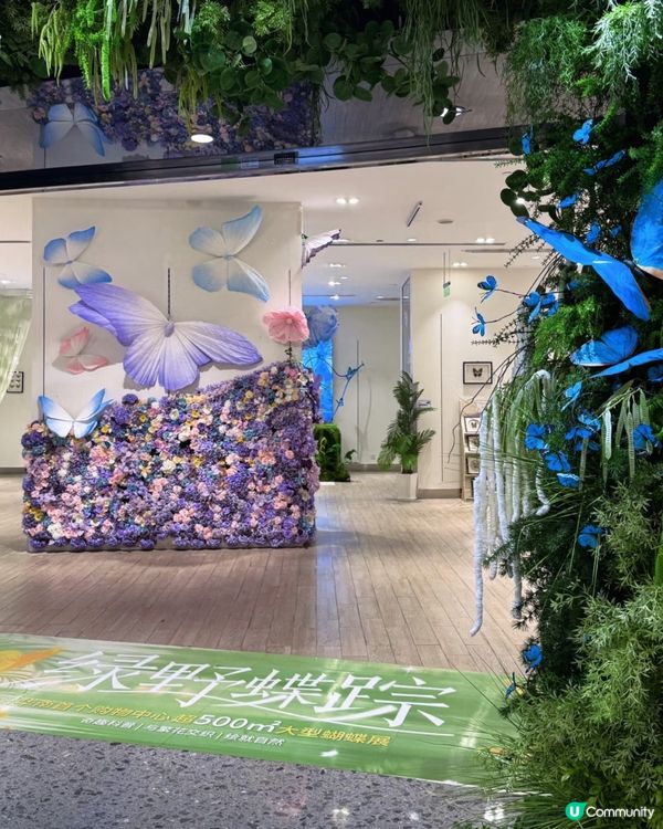 深圳免費蝴蝶展🦋！睇到眼花繚亂🤩！