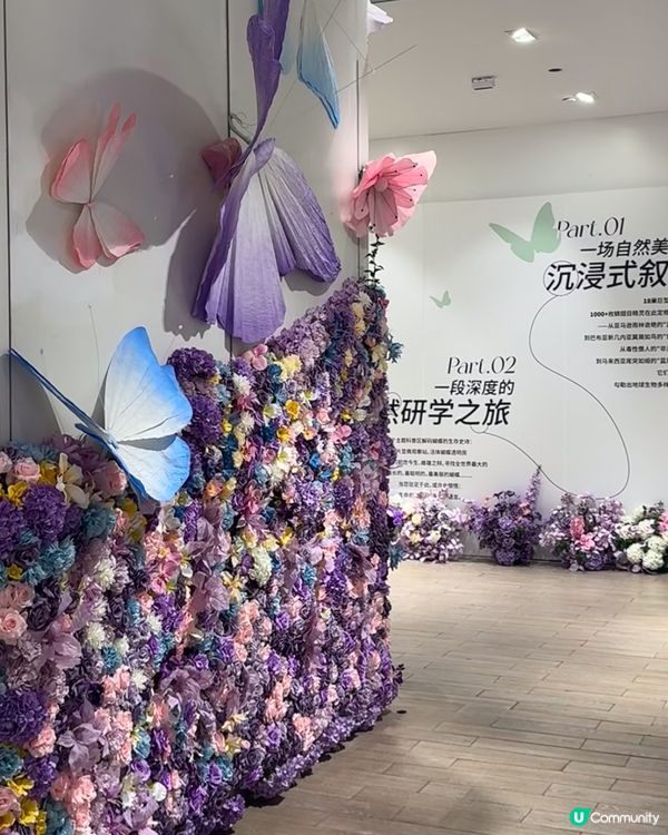 深圳免費蝴蝶展🦋！睇到眼花繚亂🤩！