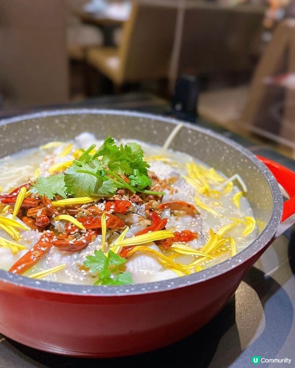 銅鑼灣高質酸菜魚🌶️🐟✨