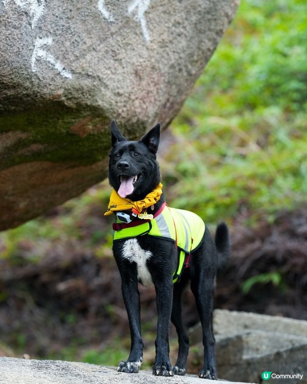 山地塘⛰️5個鐘路程🤣🐶