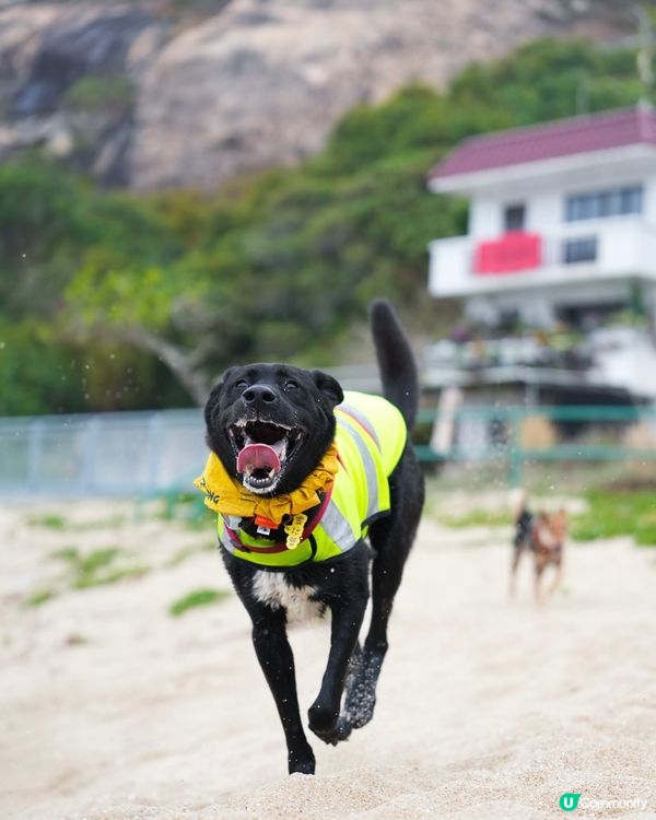 山地塘⛰️5個鐘路程🤣🐶