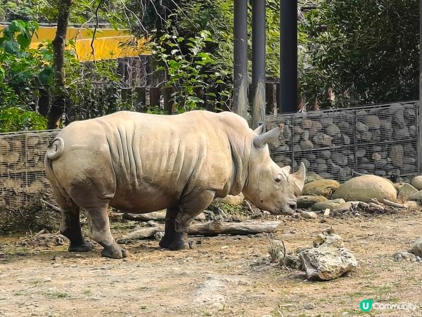 高雄壽山動物園 🐒 可愛動物大集合！