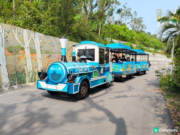 高雄壽山動物園 🐒 可愛動物大集合！