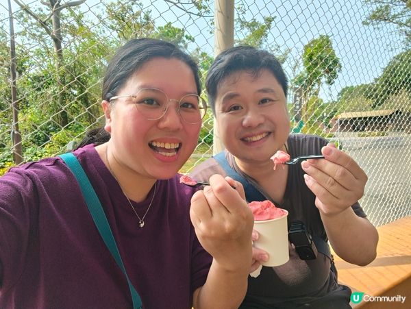 高雄壽山動物園 🐒 可愛動物大集合！