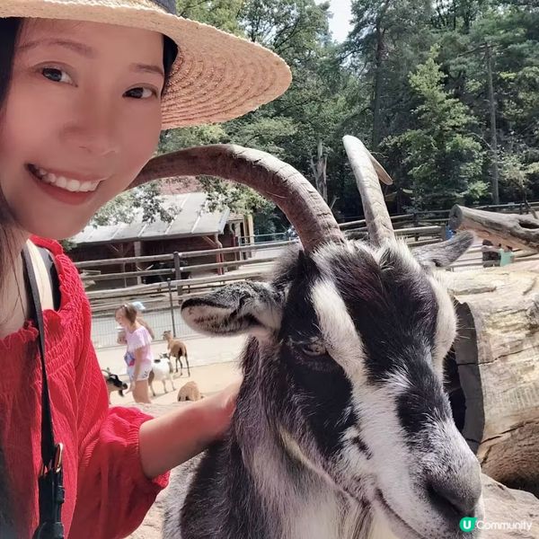 在德國紐倫堡舊城區的東部動物園,住了大約300種2600隻動...