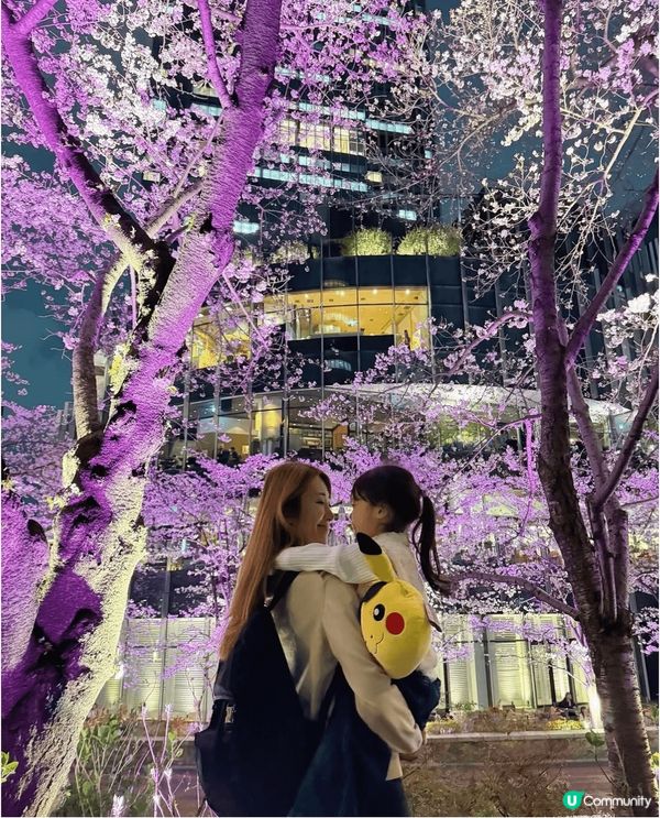 東京夢幻夜櫻🌸