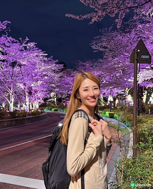 東京夢幻夜櫻🌸