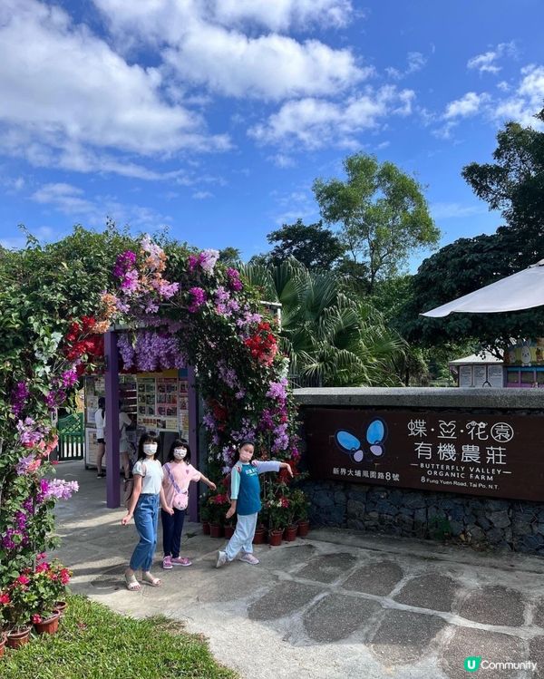 郊遊好去處～蝶豆花園