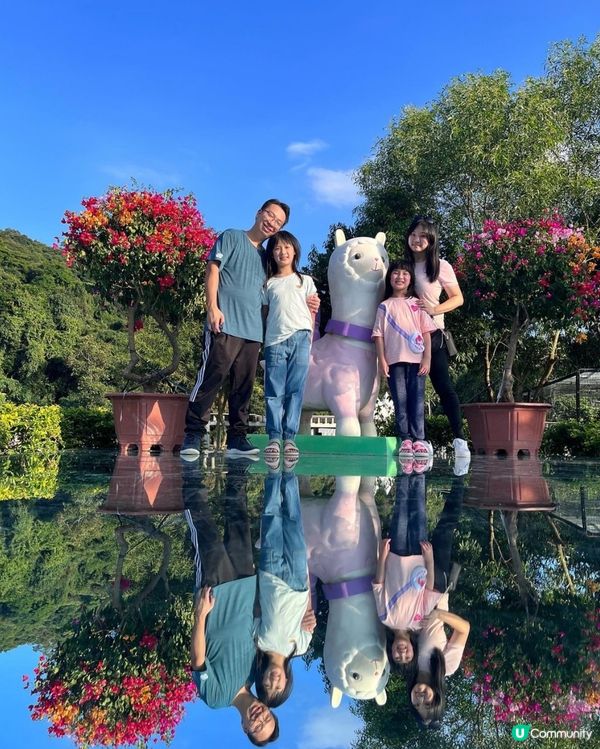 郊遊好去處～蝶豆花園