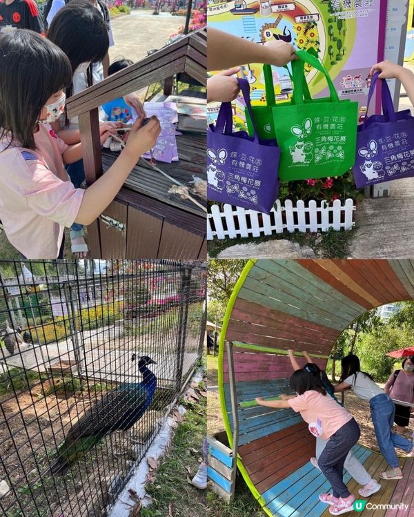 郊遊好去處～蝶豆花園