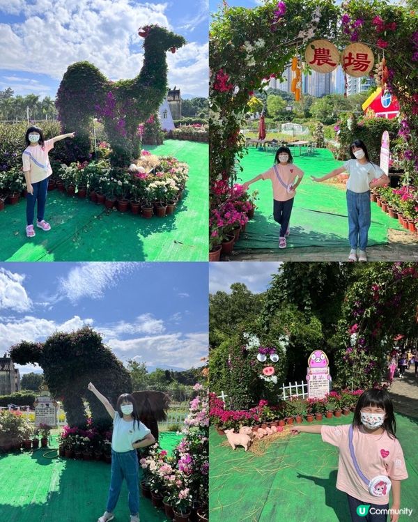 郊遊好去處～蝶豆花園