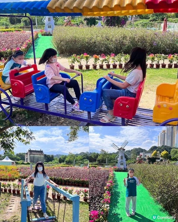 郊遊好去處～蝶豆花園