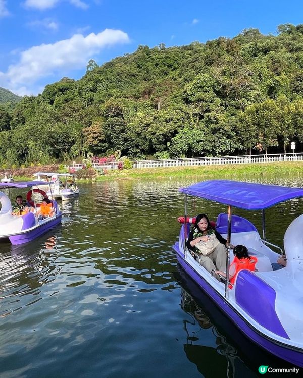 郊遊好去處～蝶豆花園
