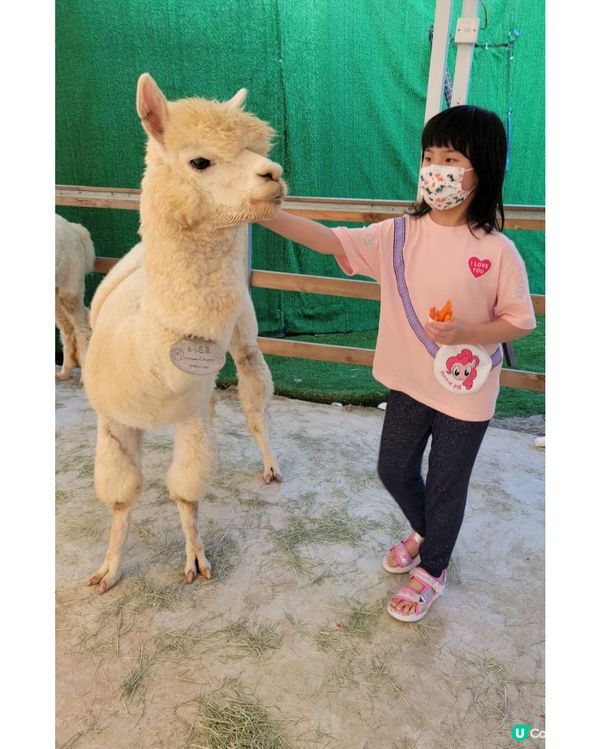 郊遊好去處～蝶豆花園