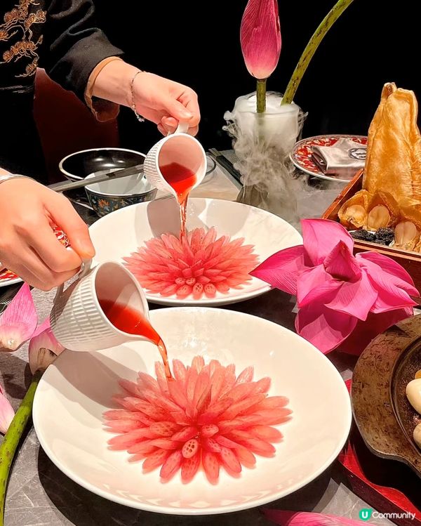 深圳荷花宴，高級感爆燈！🌸✨