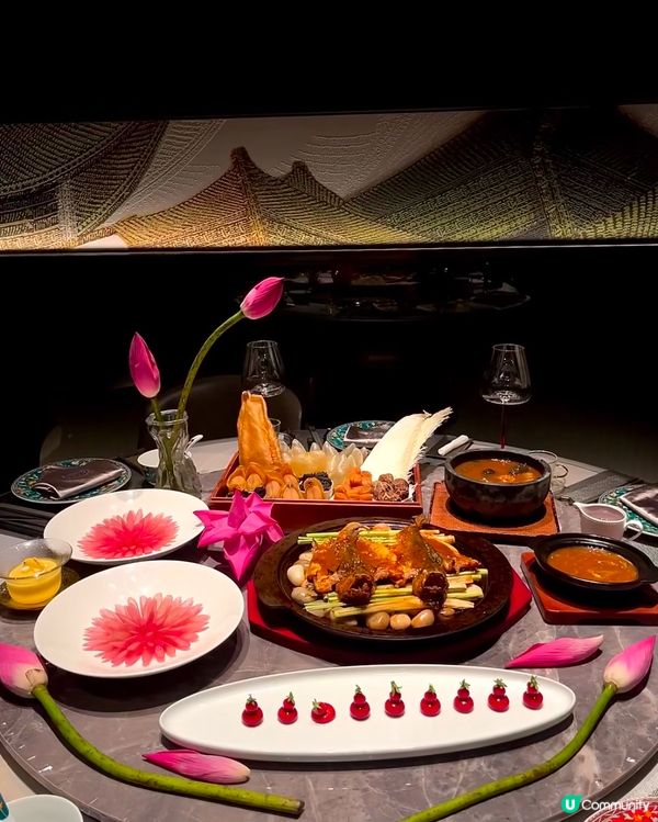 深圳荷花宴，高級感爆燈！🌸✨