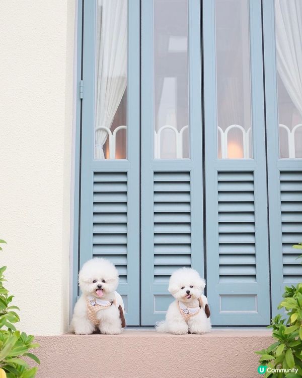 衣衫不整2人組🐒🐒！！