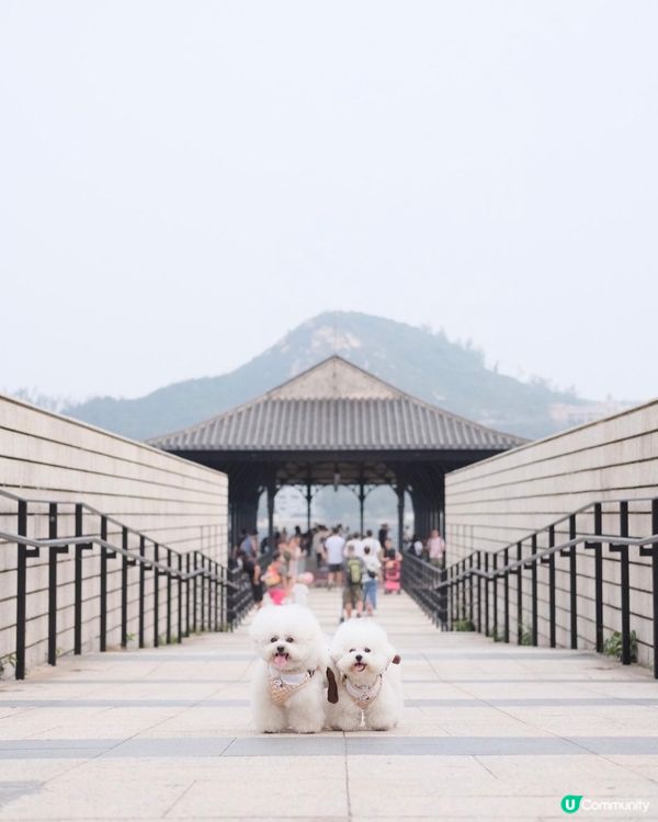 衣衫不整2人組🐒🐒！！