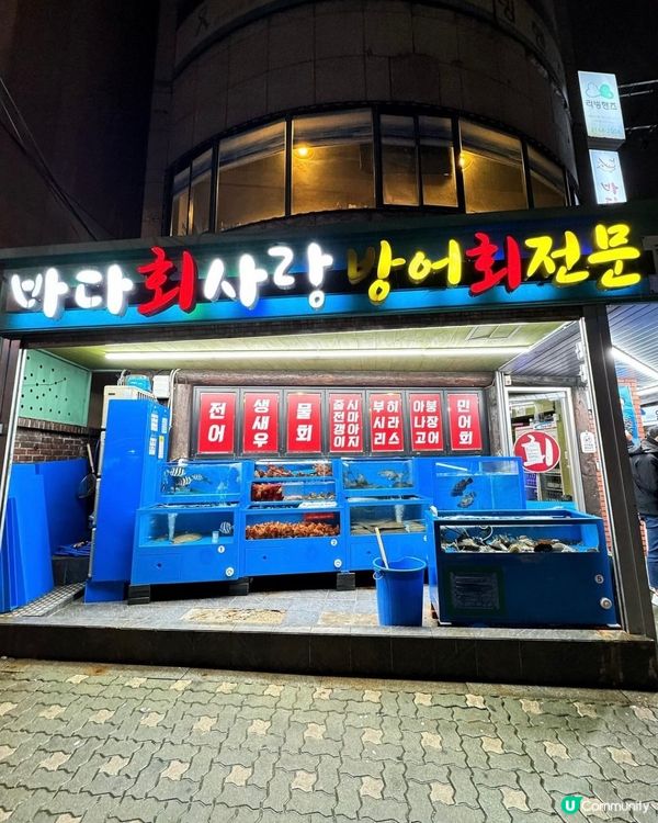 🇰🇷首爾高cp值生魚片店🍣 弘大必食！🤤