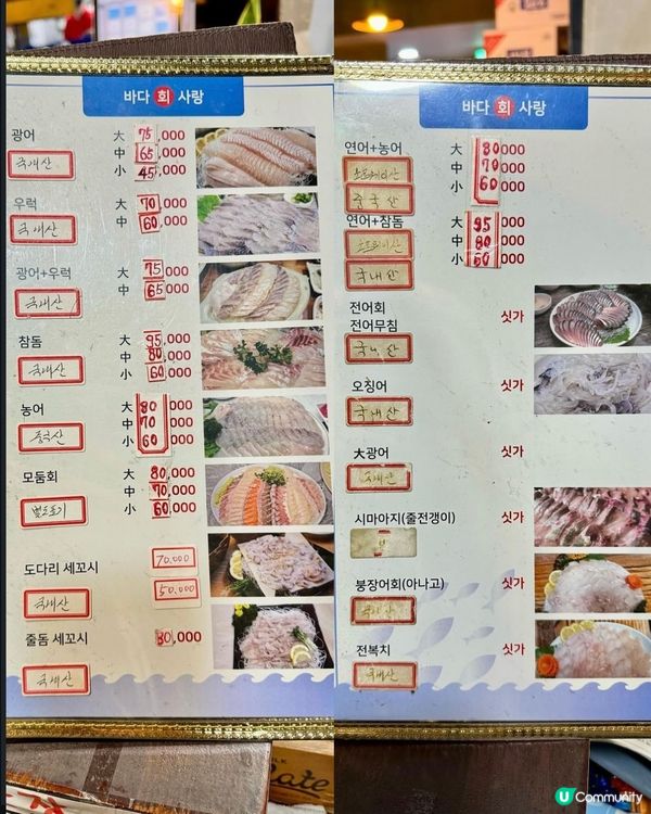 🇰🇷首爾高cp值生魚片店🍣 弘大必食！🤤