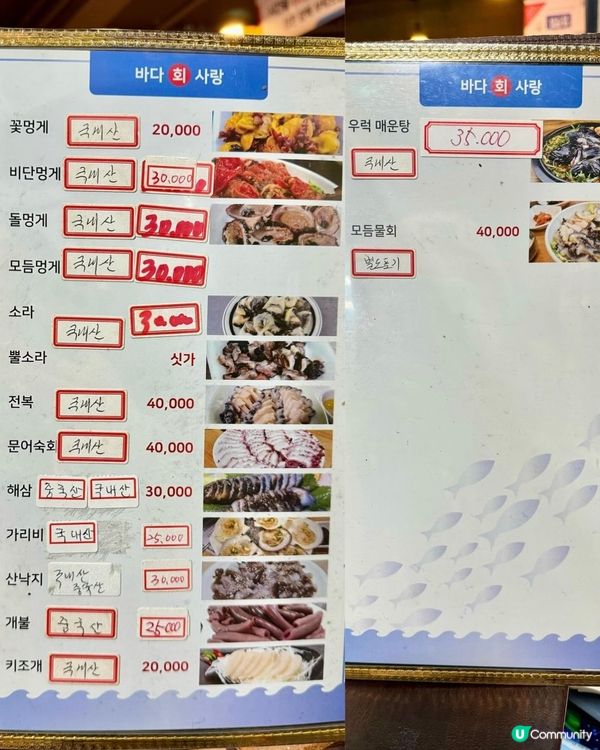 🇰🇷首爾高cp值生魚片店🍣 弘大必食！🤤