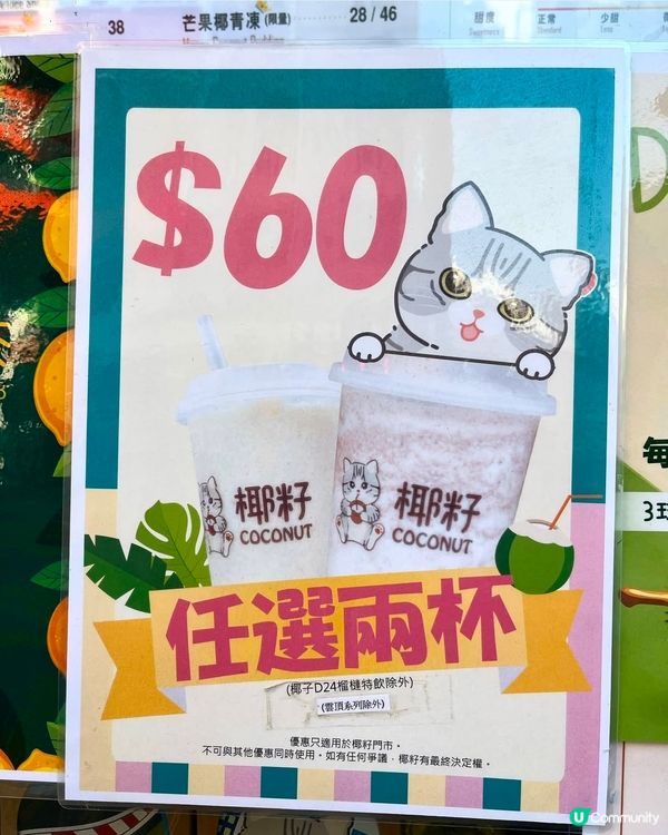 開心果系列-椰子主題飲品，清甜有驚喜