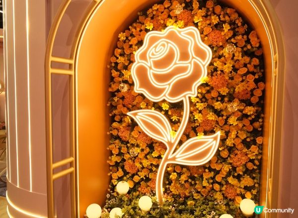 當一日公主🪄（文末有9折優惠）