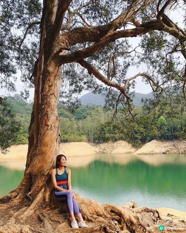 ❣️ 城門水塘打卡攻略 | 香港隱世秘境