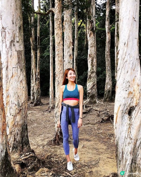 ❣️ 城門水塘打卡攻略 | 香港隱世秘境