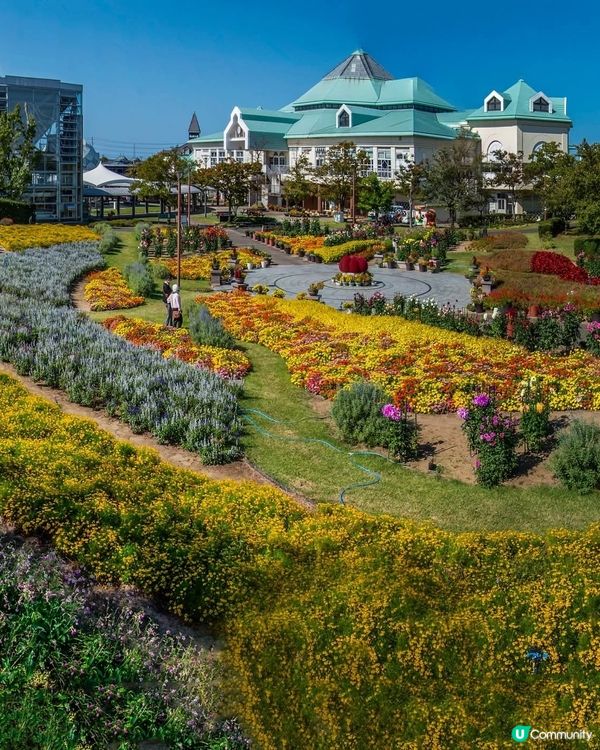 新潟村玩樂美食全攻略！🤩