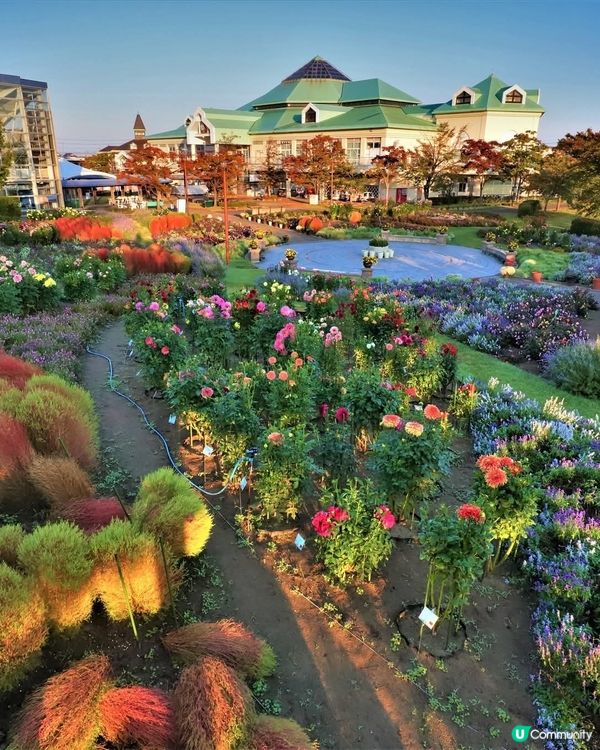 新潟村玩樂美食全攻略！🤩