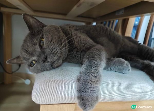 聽日要翻工啦 我好掛住個假期呀🎄