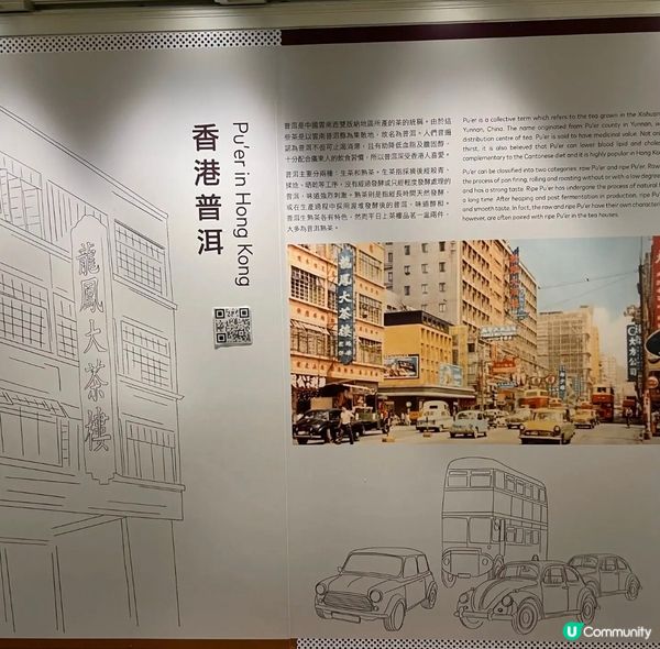 今日嚟到位於金鐘「茶具文物館」這裏有很多關於備茶、茶葉及茶壺...