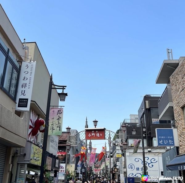 《東京近郊鎌倉一日遊》