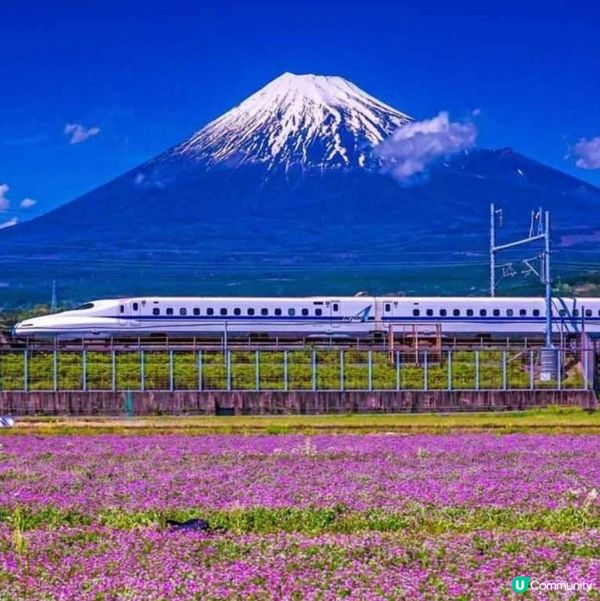 東京近郊靜岡縣富土山打卡點