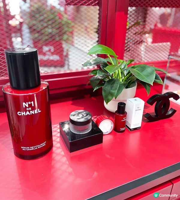 護膚好物❤️CHANEL一號紅山茶花精華液+精華水