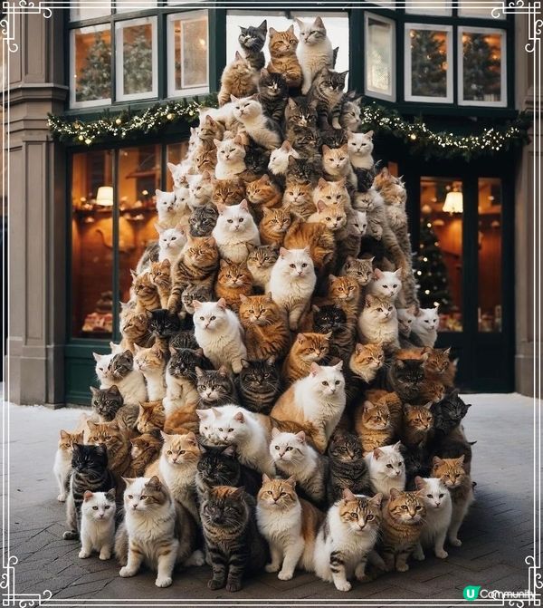 大型貓咪聖誕樹🎄祝各位聖誕快樂🐱