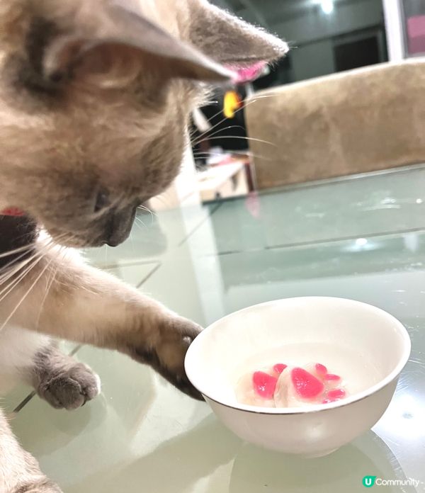 這款貓爪湯圓，有花生、奶黃、香芋等味道選擇，很易煑，又好吃！...