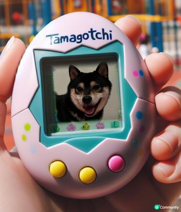 #毛孩最愛spa #他總是喜歡對着鏡頭來展現可愛型格的特質，...