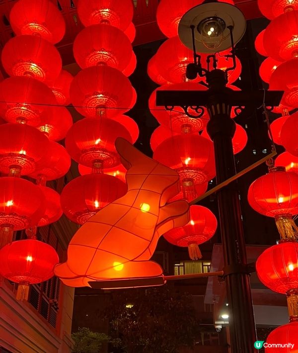 利東街的春節燈籠又掛上啦～
