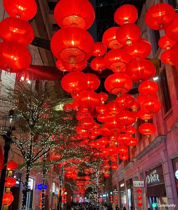 利東街的春節燈籠又掛上啦～