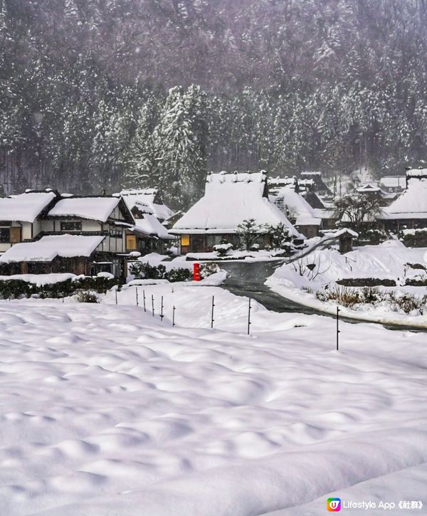 雪之京都美山茅草屋