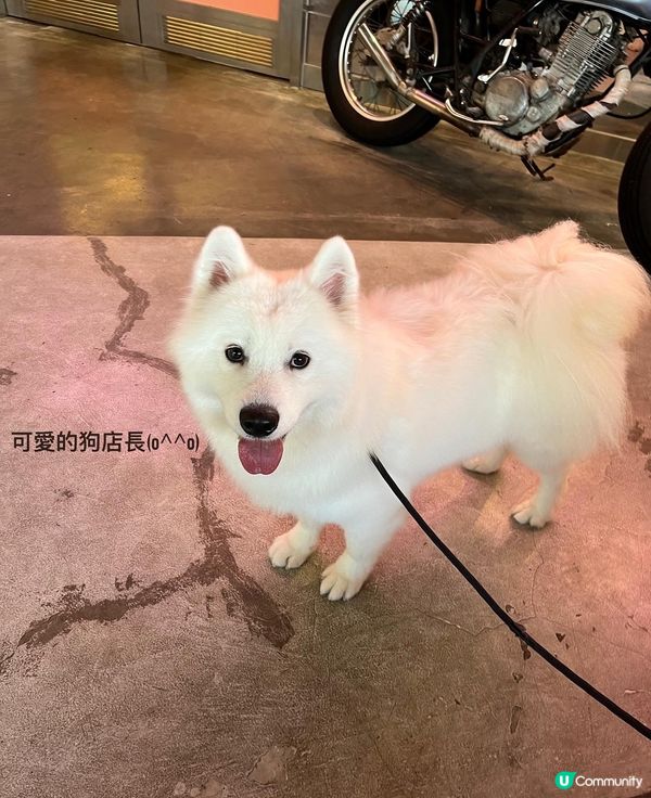 《Route99》📍將軍澳站