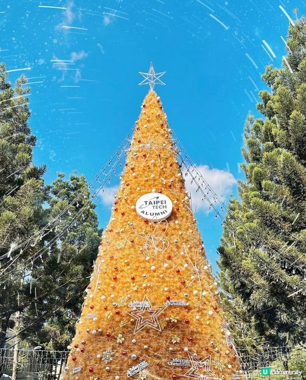 大大的一棵金色聖誕樹