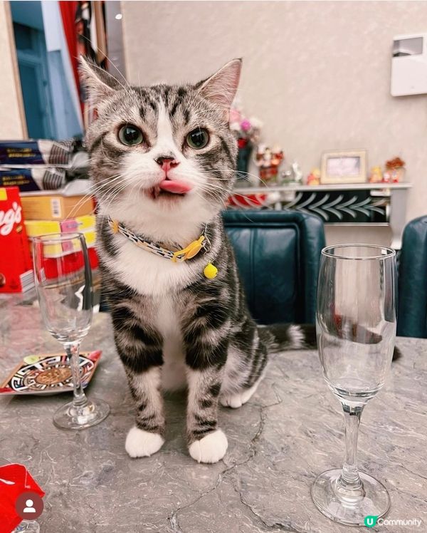 我有酒杯🍸，你有零食嗎？