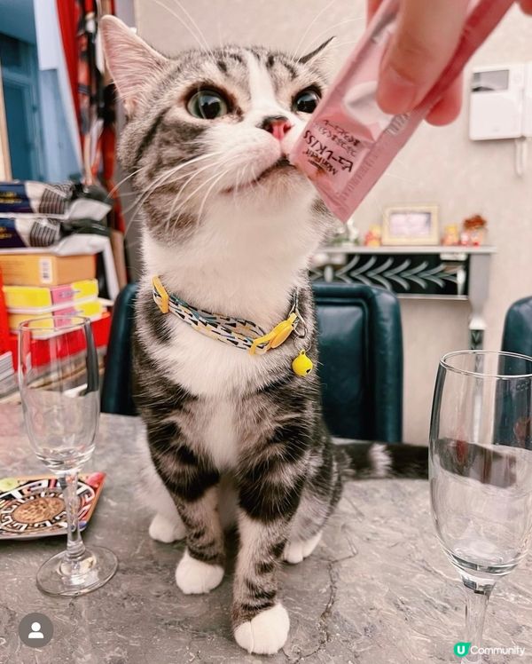 我有酒杯🍸，你有零食嗎？