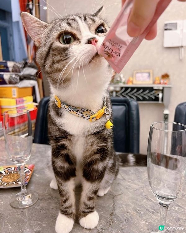 我有酒杯🍸，你有零食嗎？