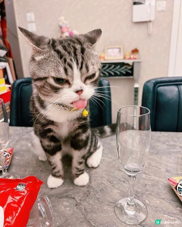 我有酒杯🍸，你有零食嗎？